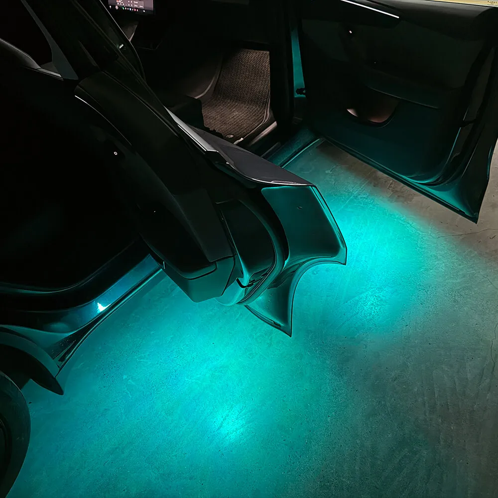 Tesla Model Y Juniper door puddle lights